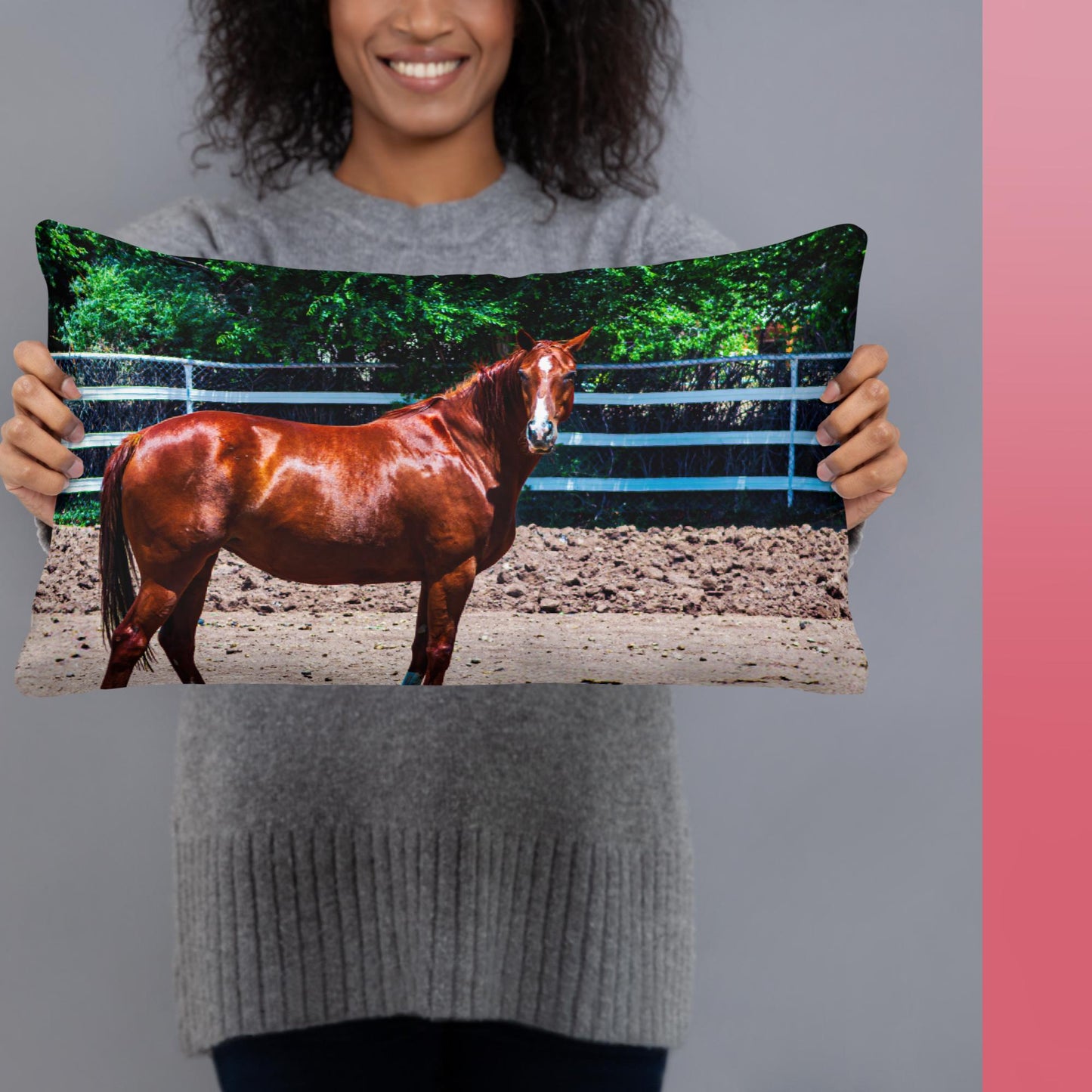 Basic Pillow chestnut mare in pasture