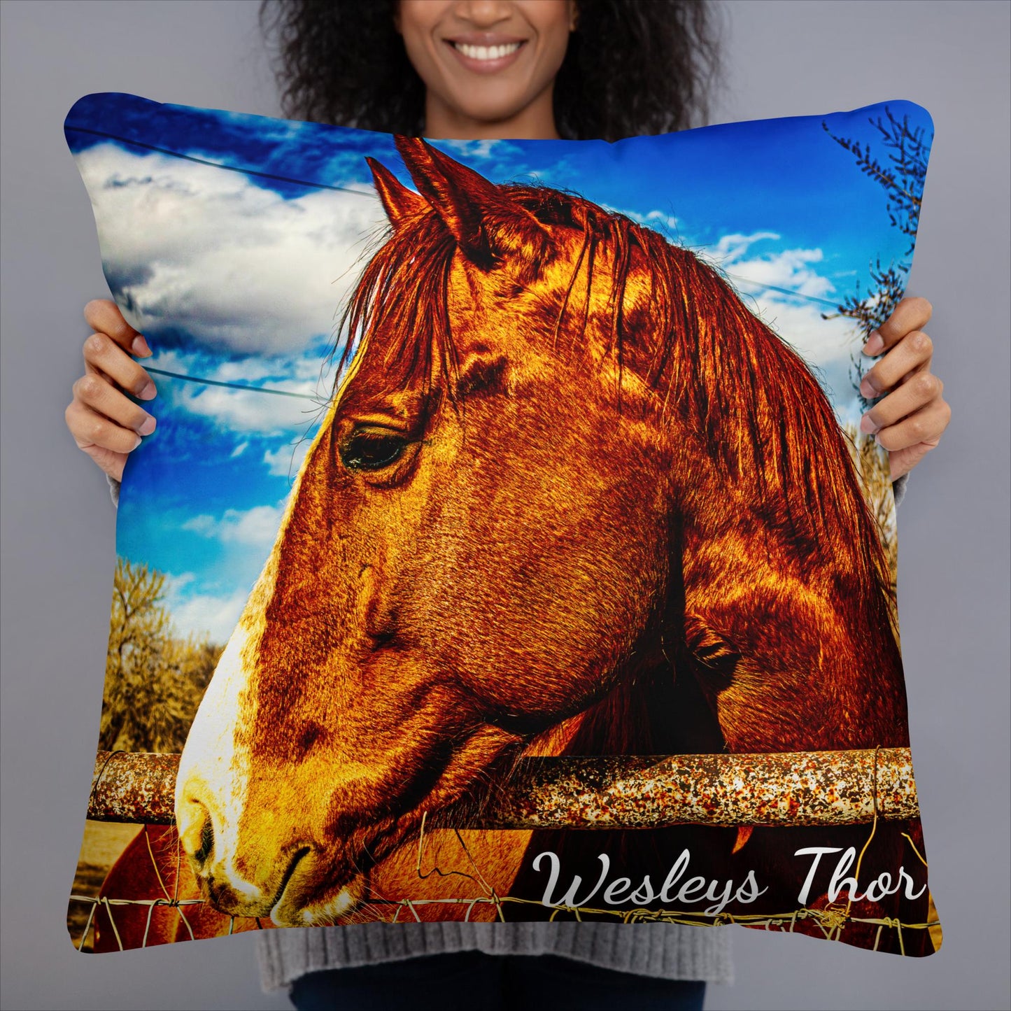 Basic Pillow Stallion