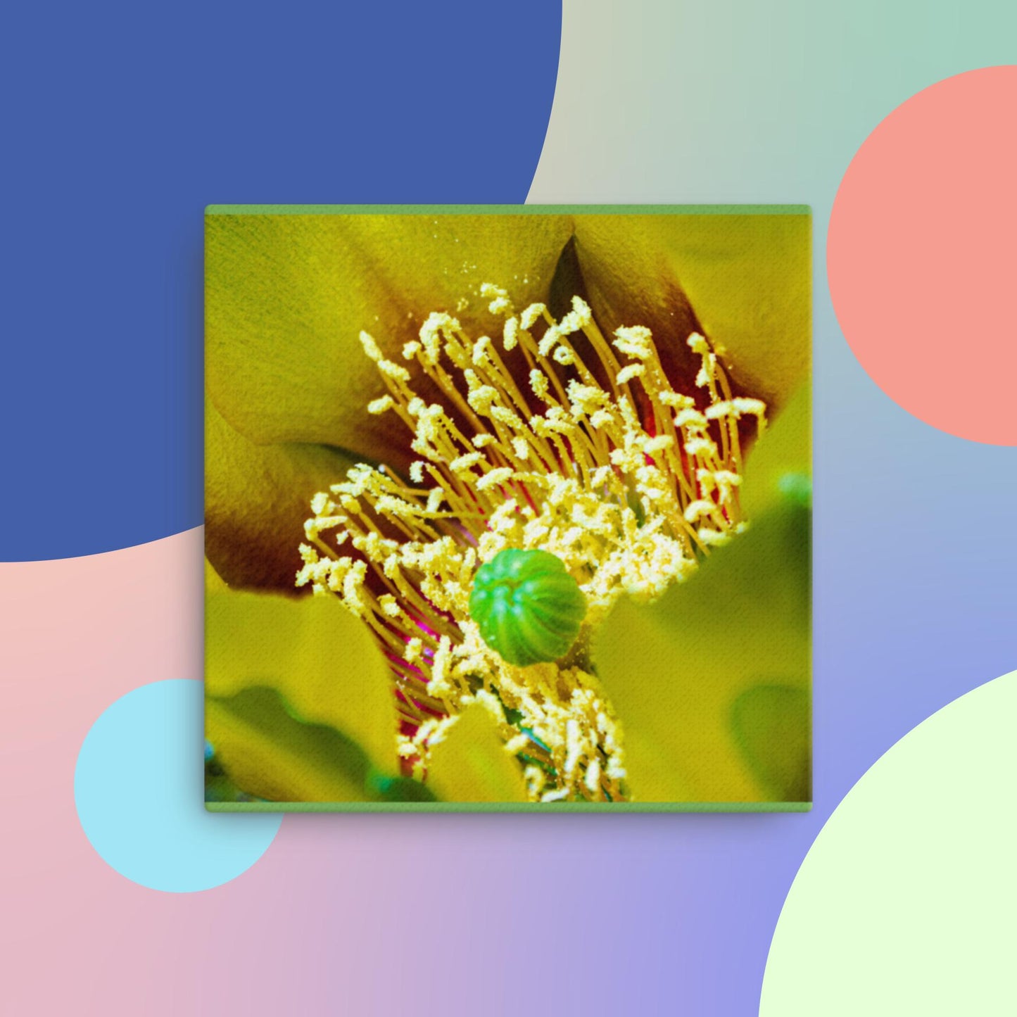 Canvas cactus flower