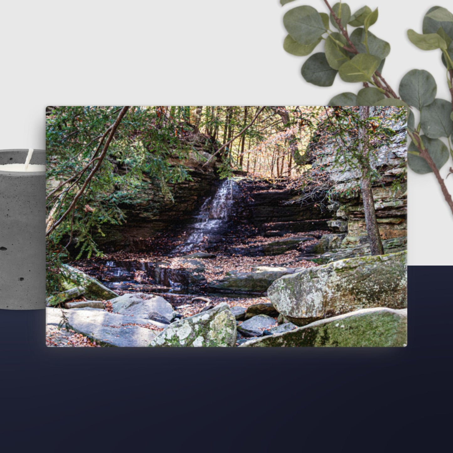 Canvas of Honey run falls