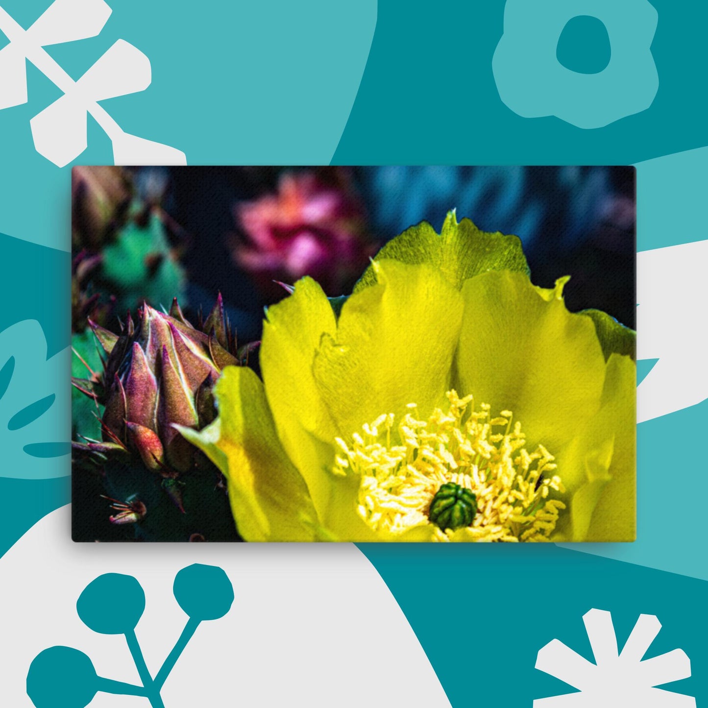 Canvas yellow cactus flower