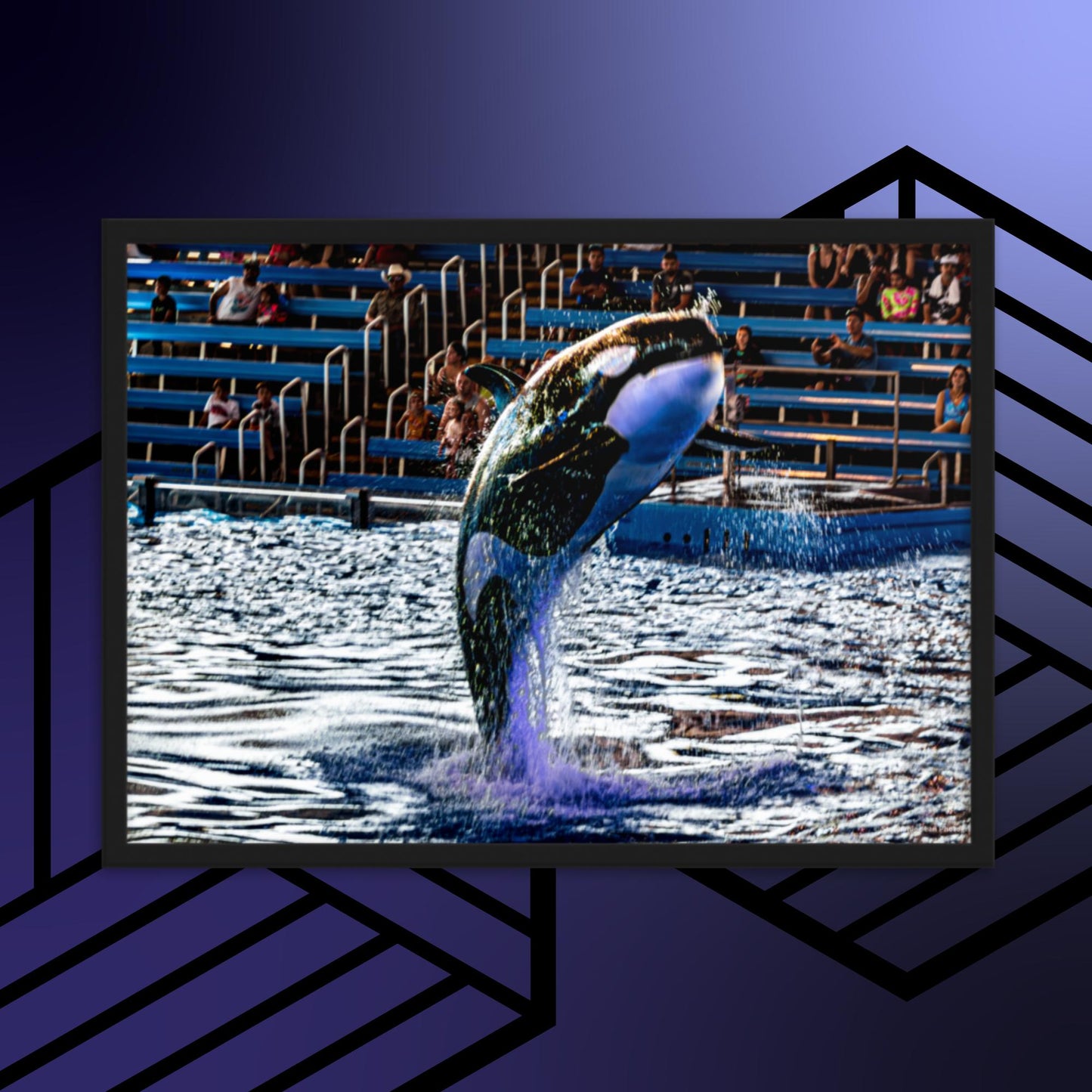 Framed matte paper poster