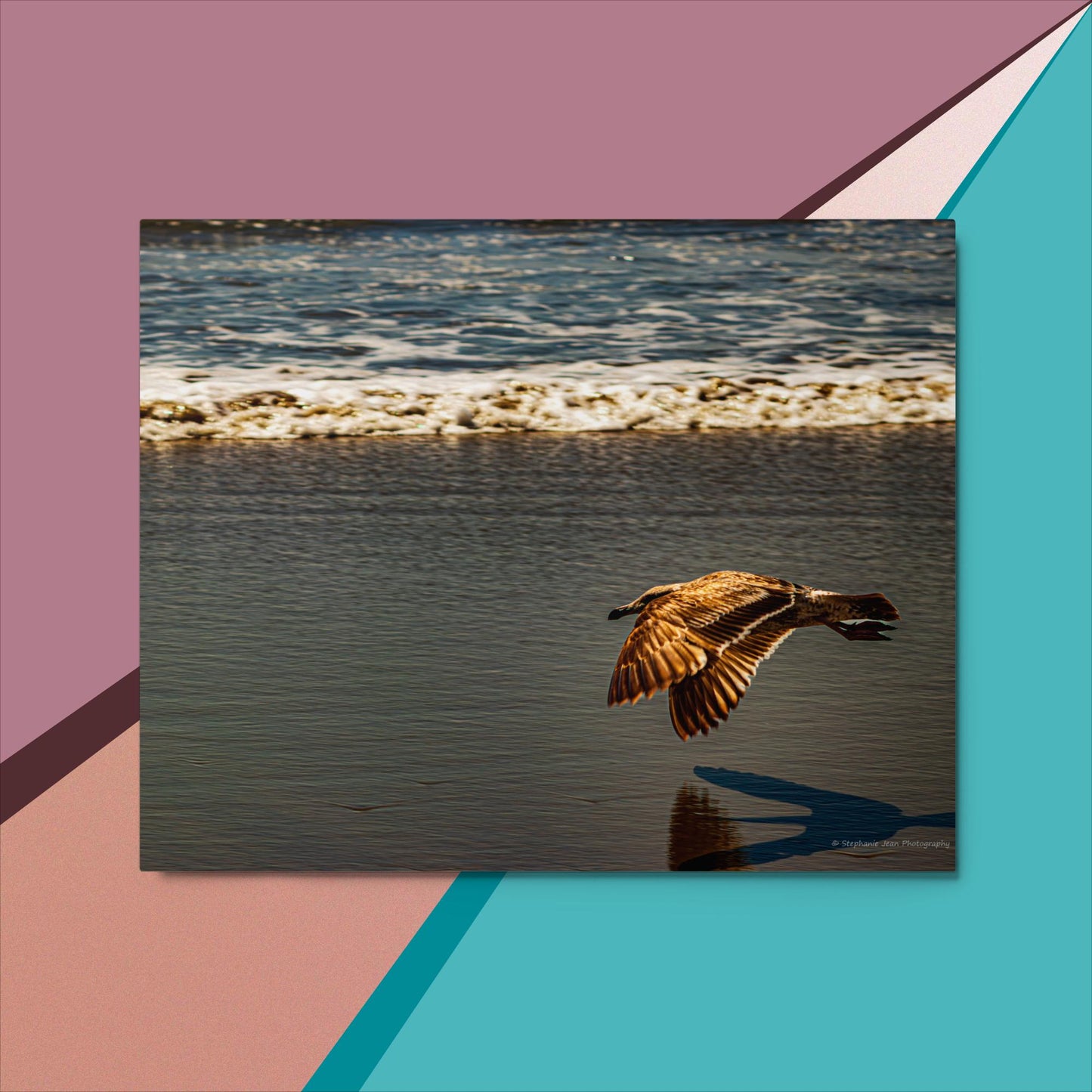 Metal prints Beach Bird