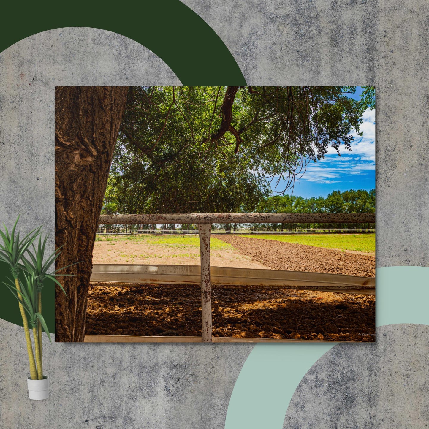 Metal prints farm pasture