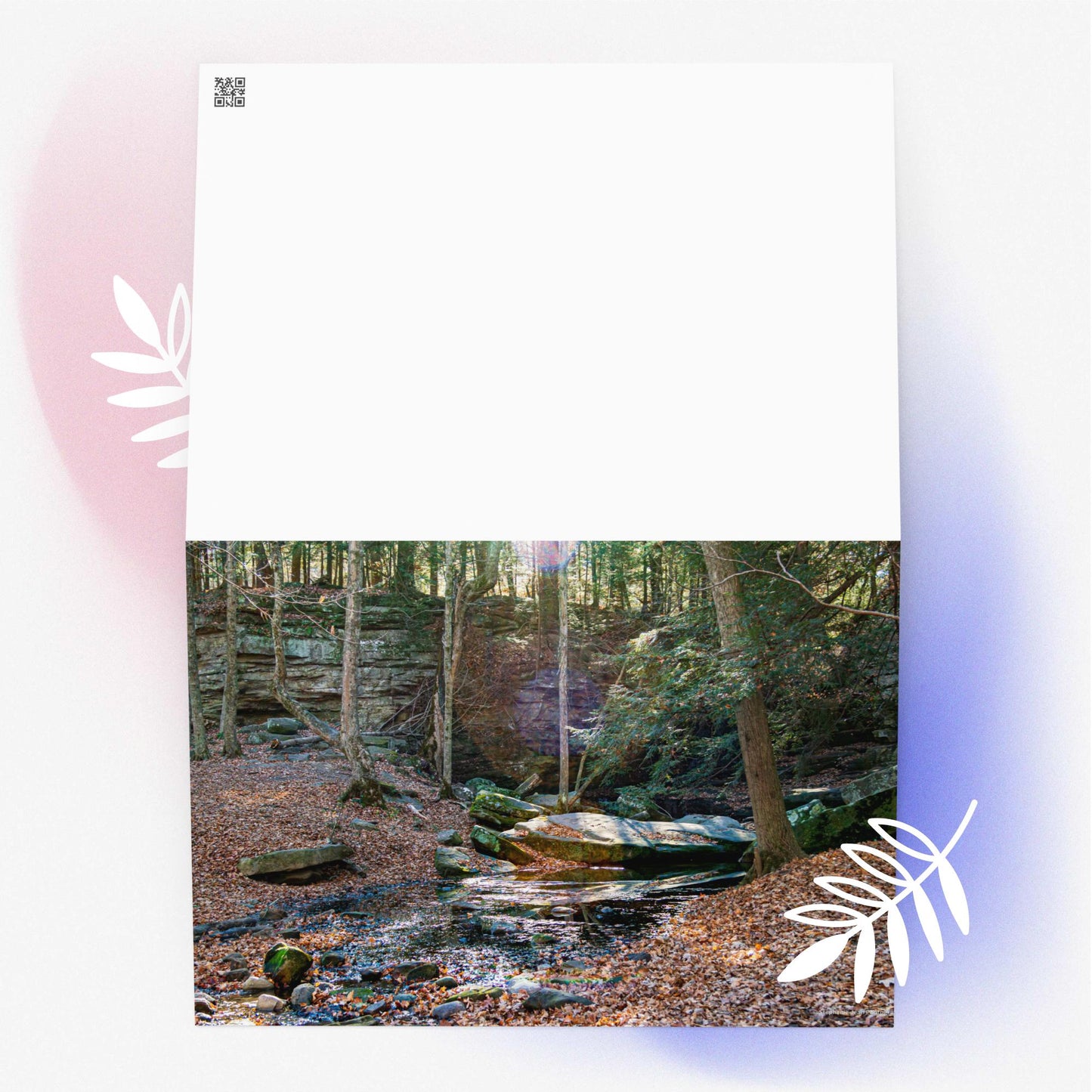 Greeting card honey run falls