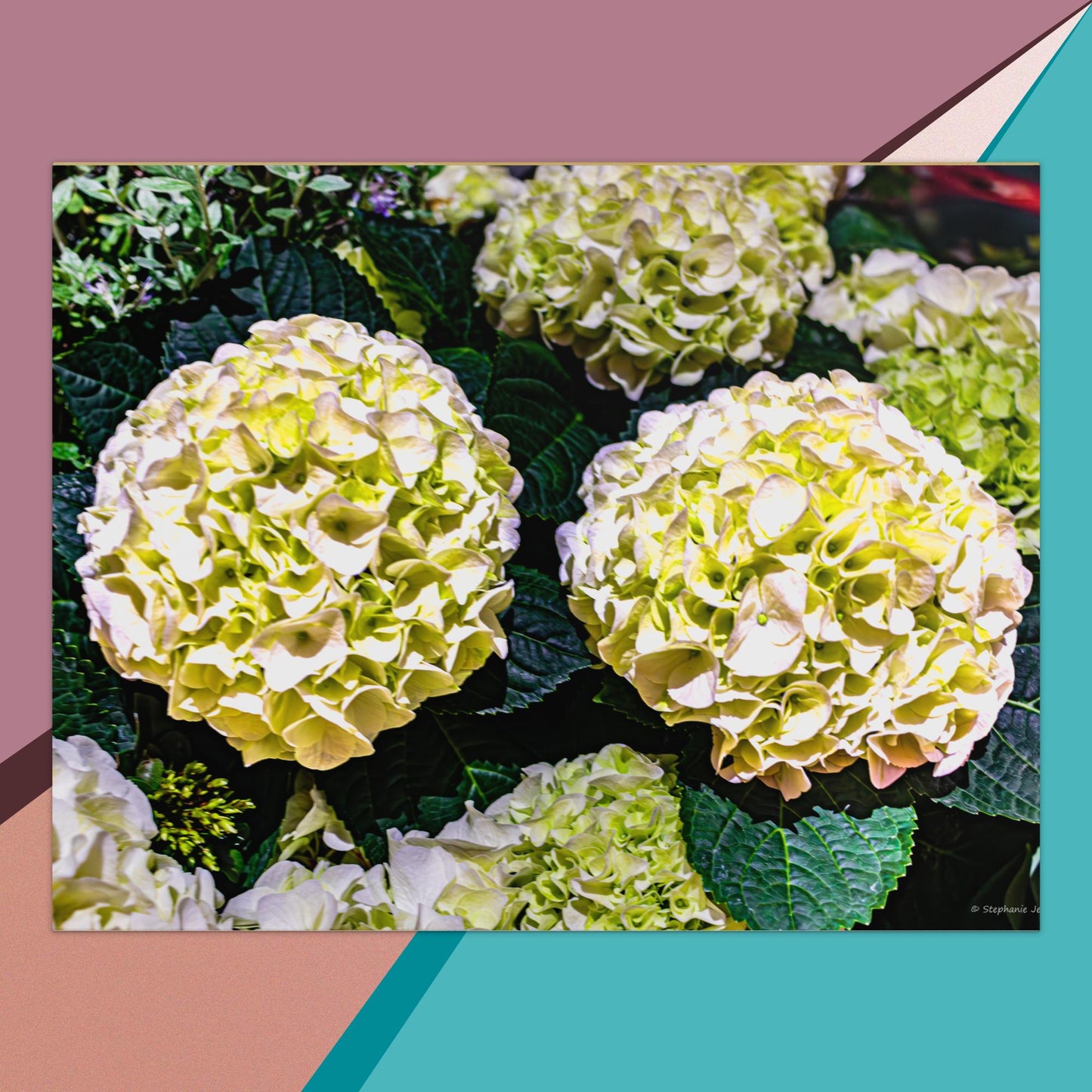 Notepad white flower