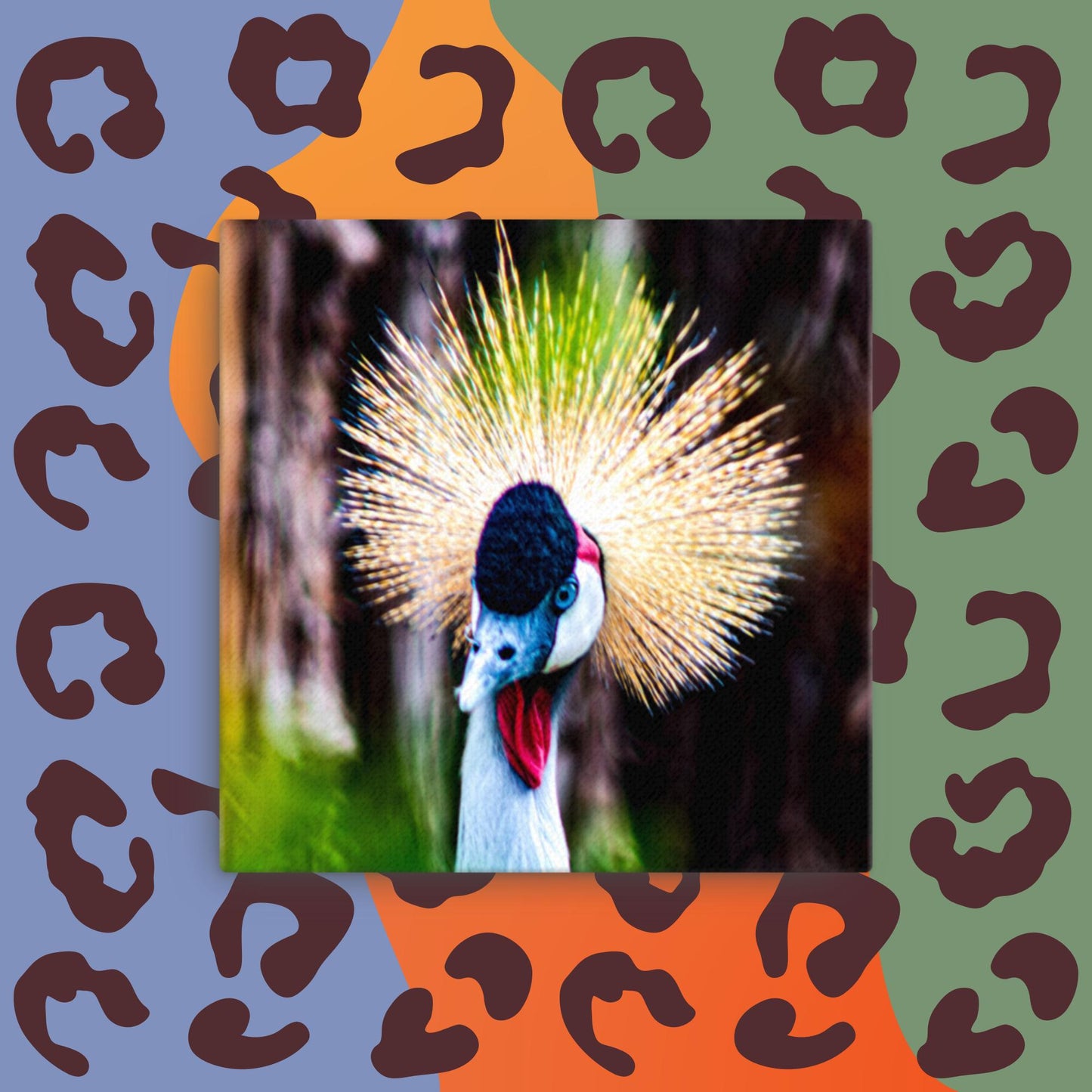 Canvas Black Crowned crane