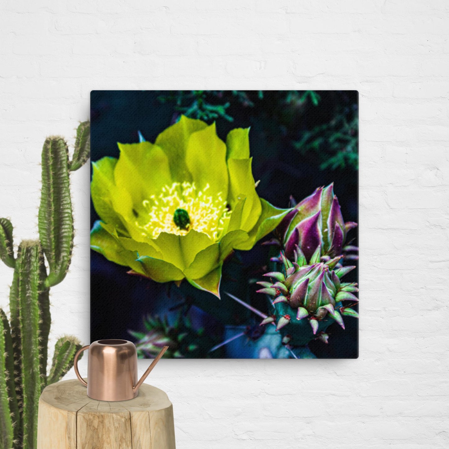 Canvas cactus flower