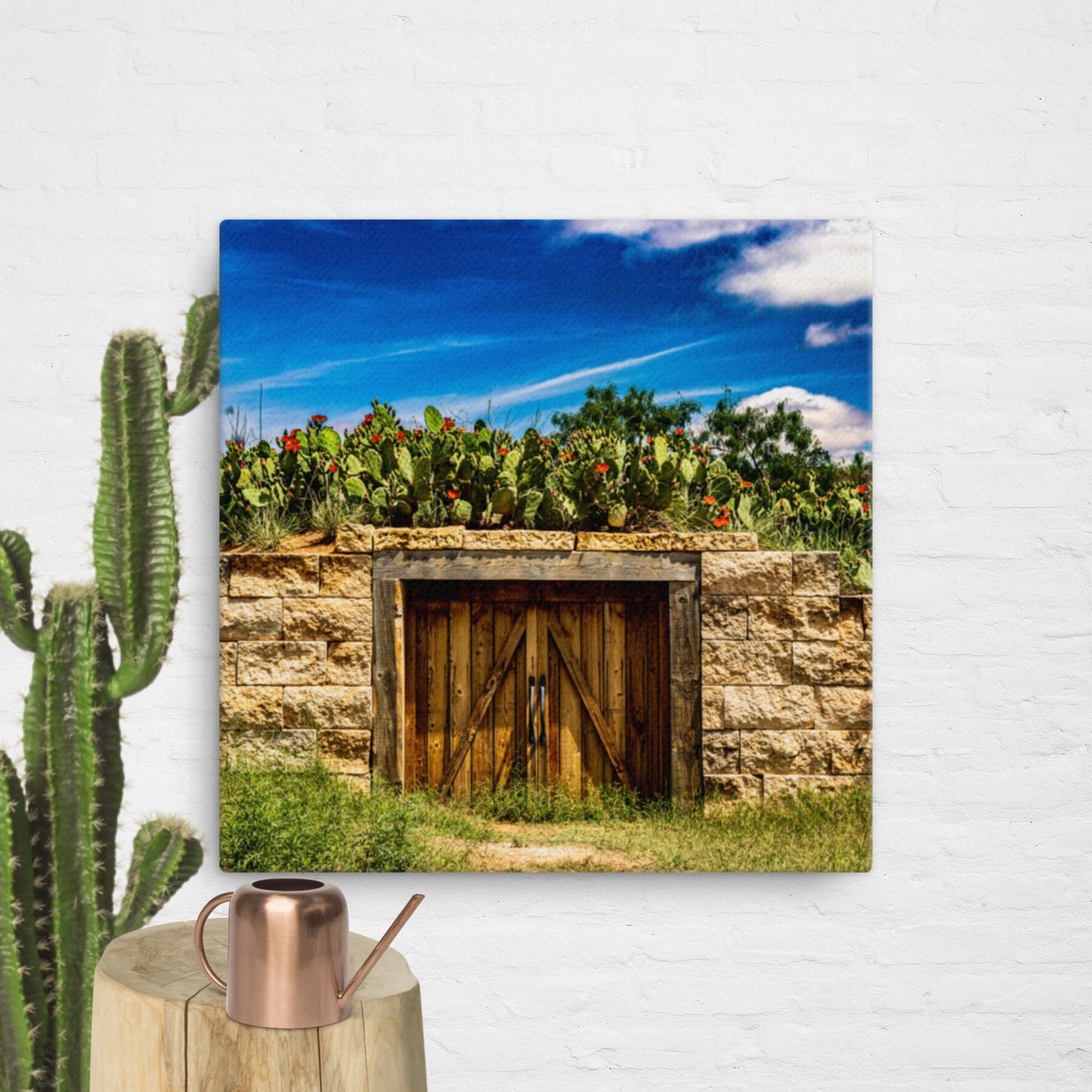 Canvas cactus shed