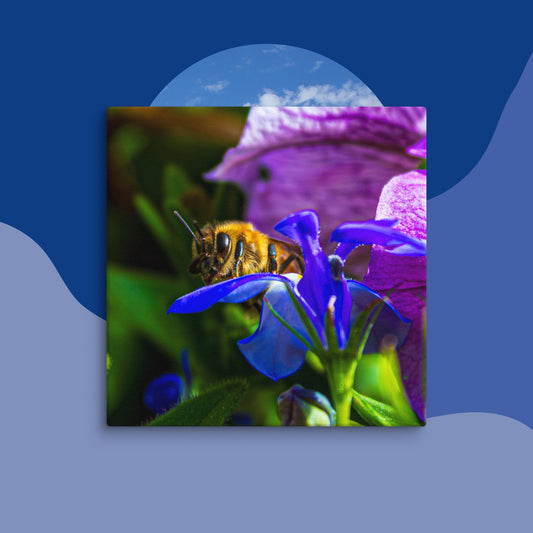 Canvas honey bee