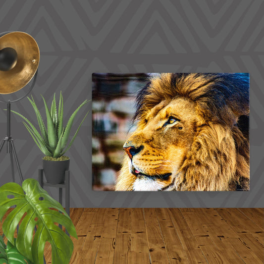 Canvas of Lion