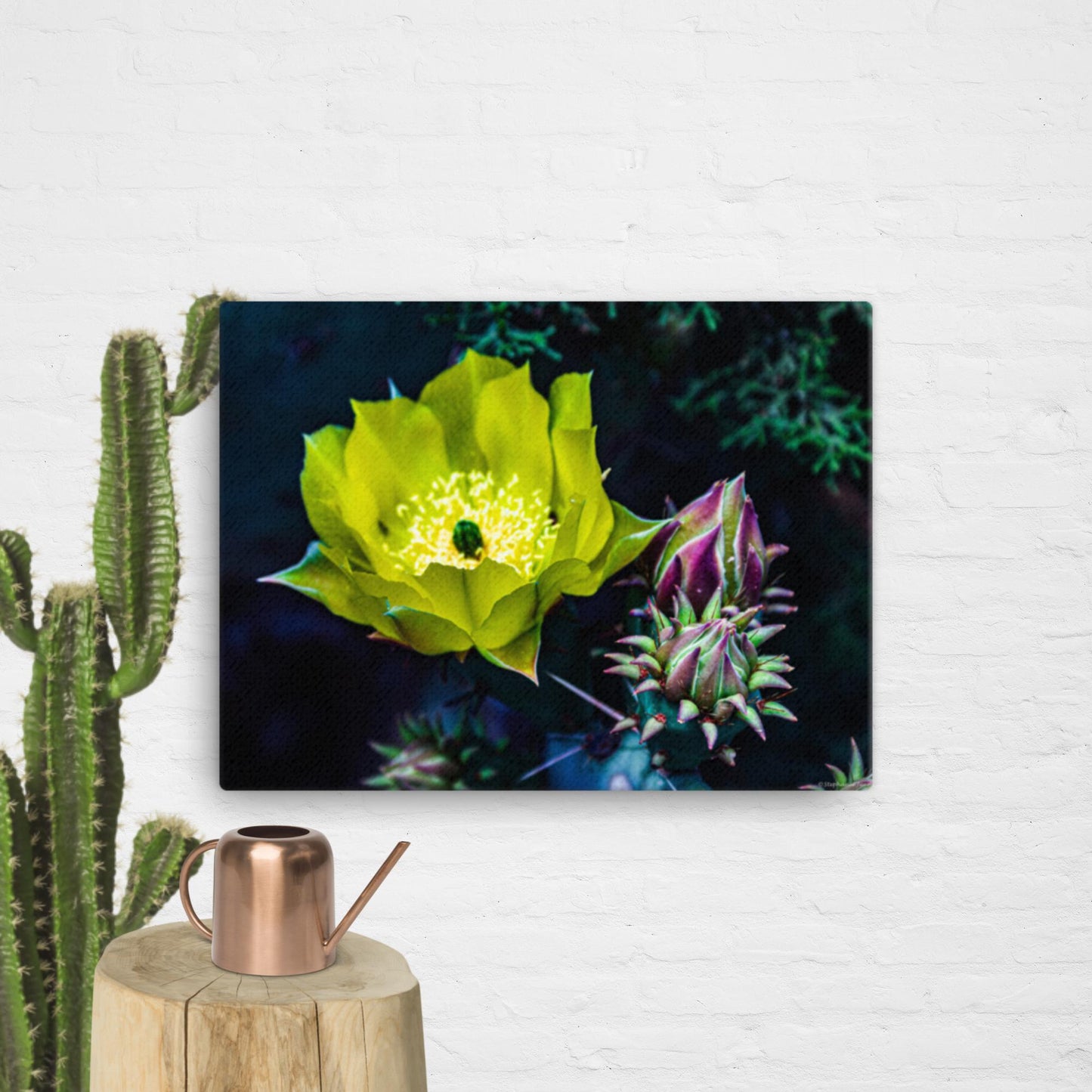 Canvas cactus flower