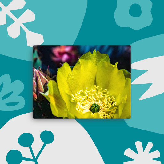 Canvas yellow cactus flower
