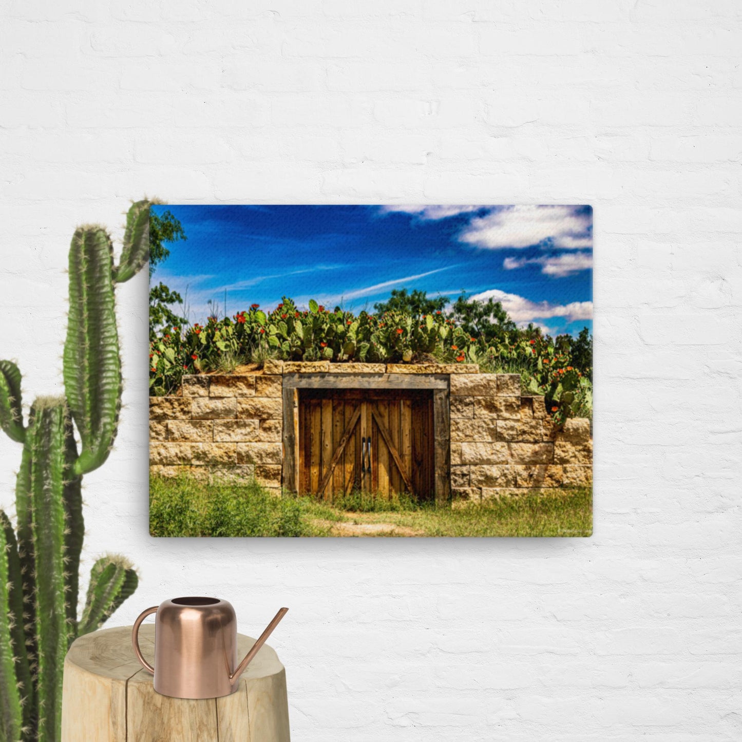 Canvas cactus shed