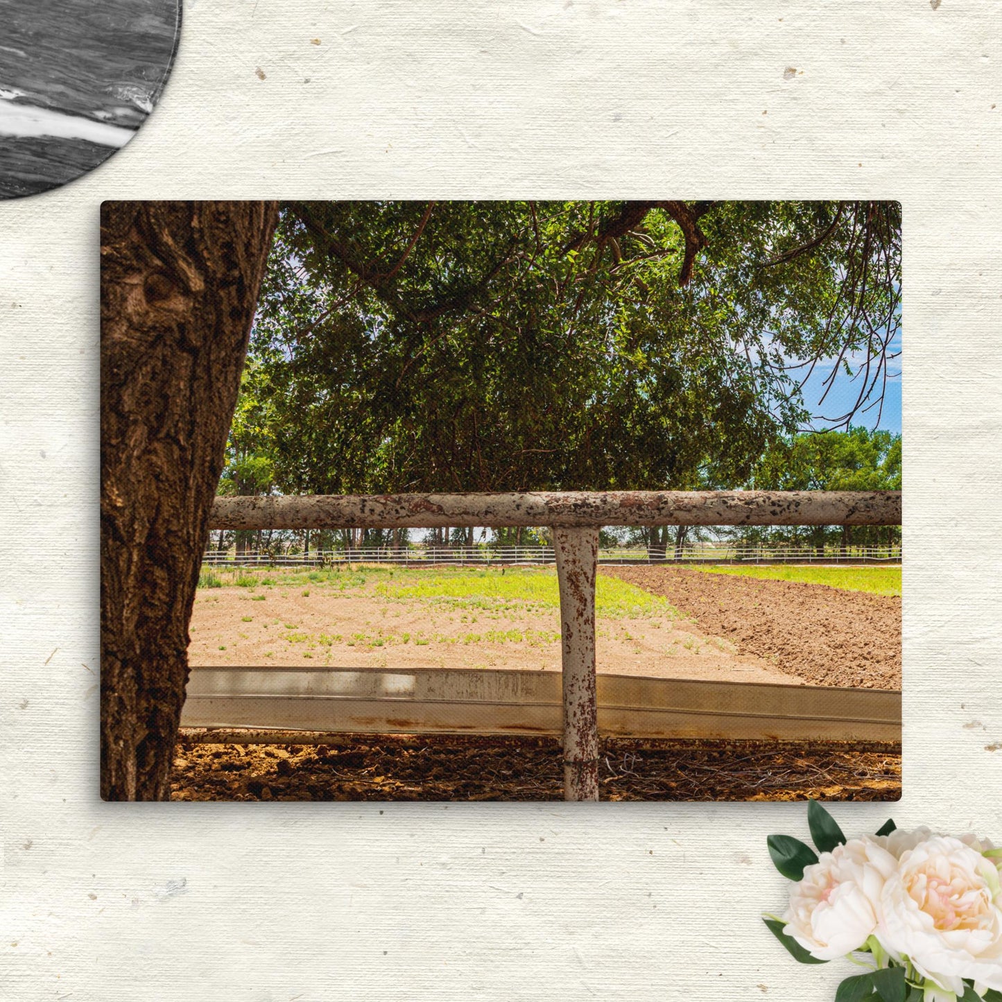 Canvas farm pasture