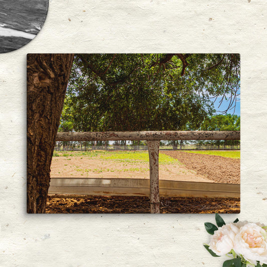 Canvas farm pasture