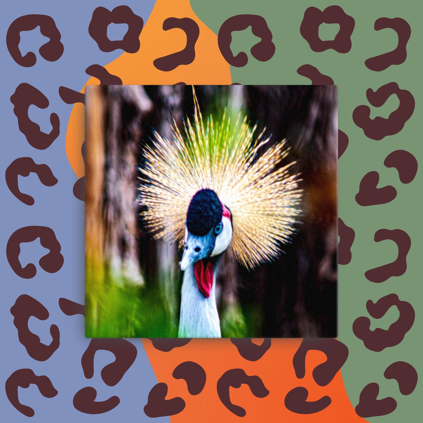 Canvas Black Crowned crane