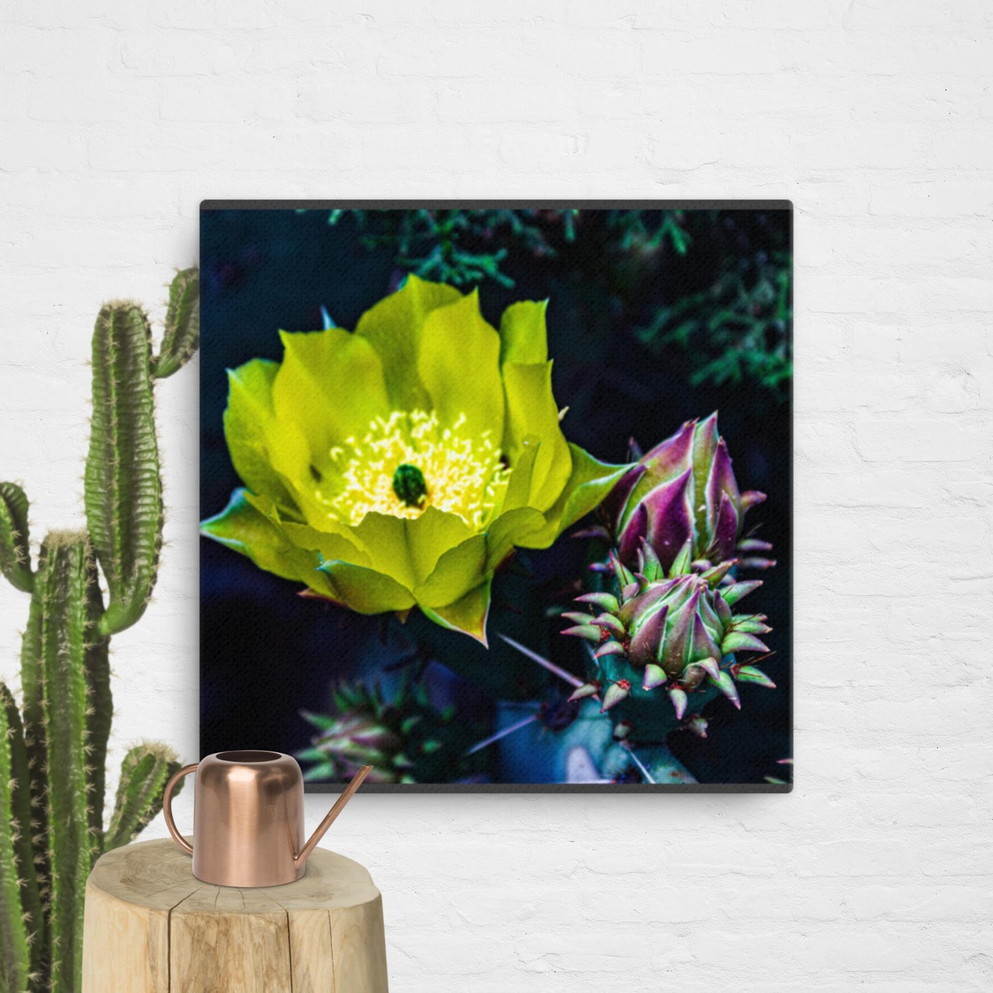 Canvas cactus flower