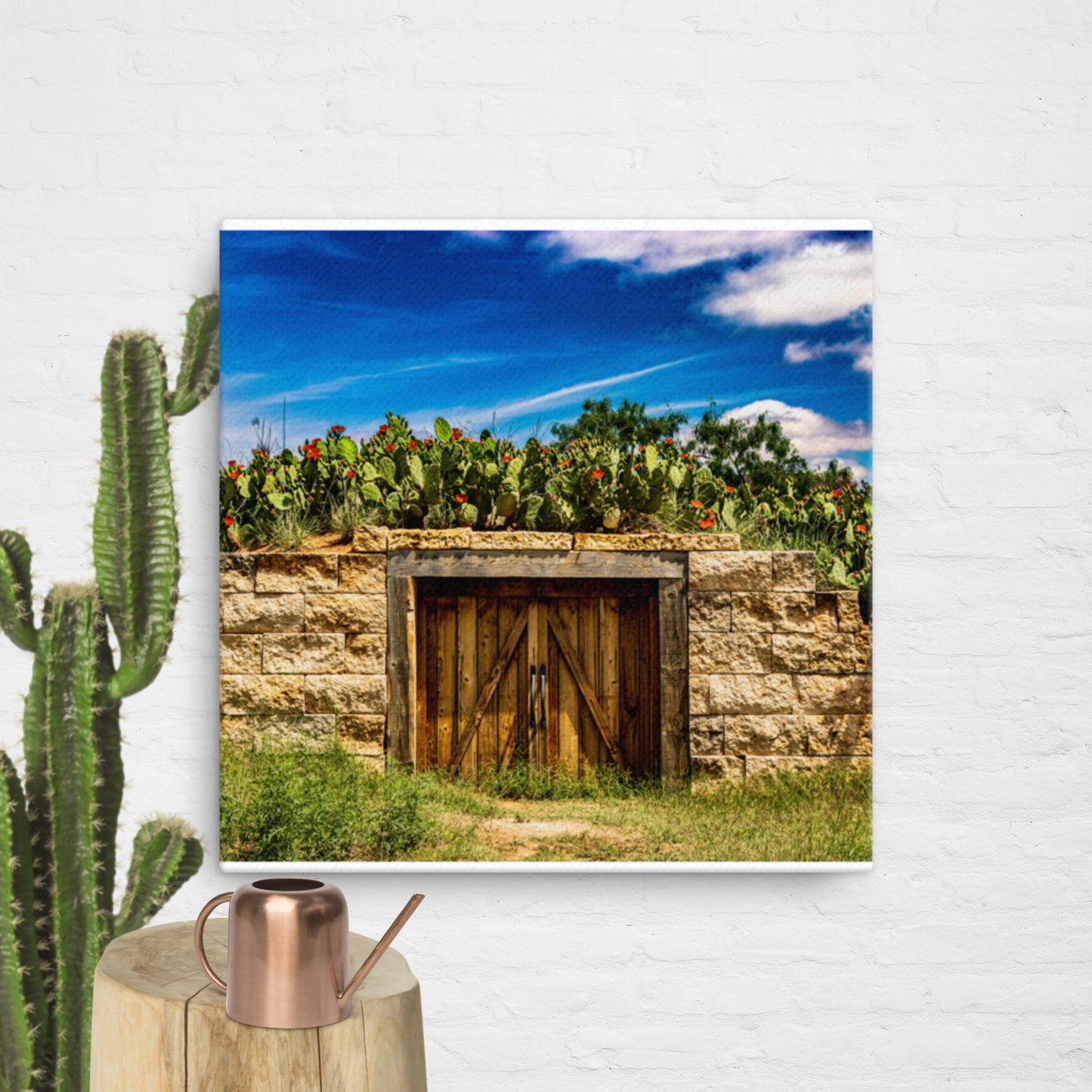 Canvas cactus shed