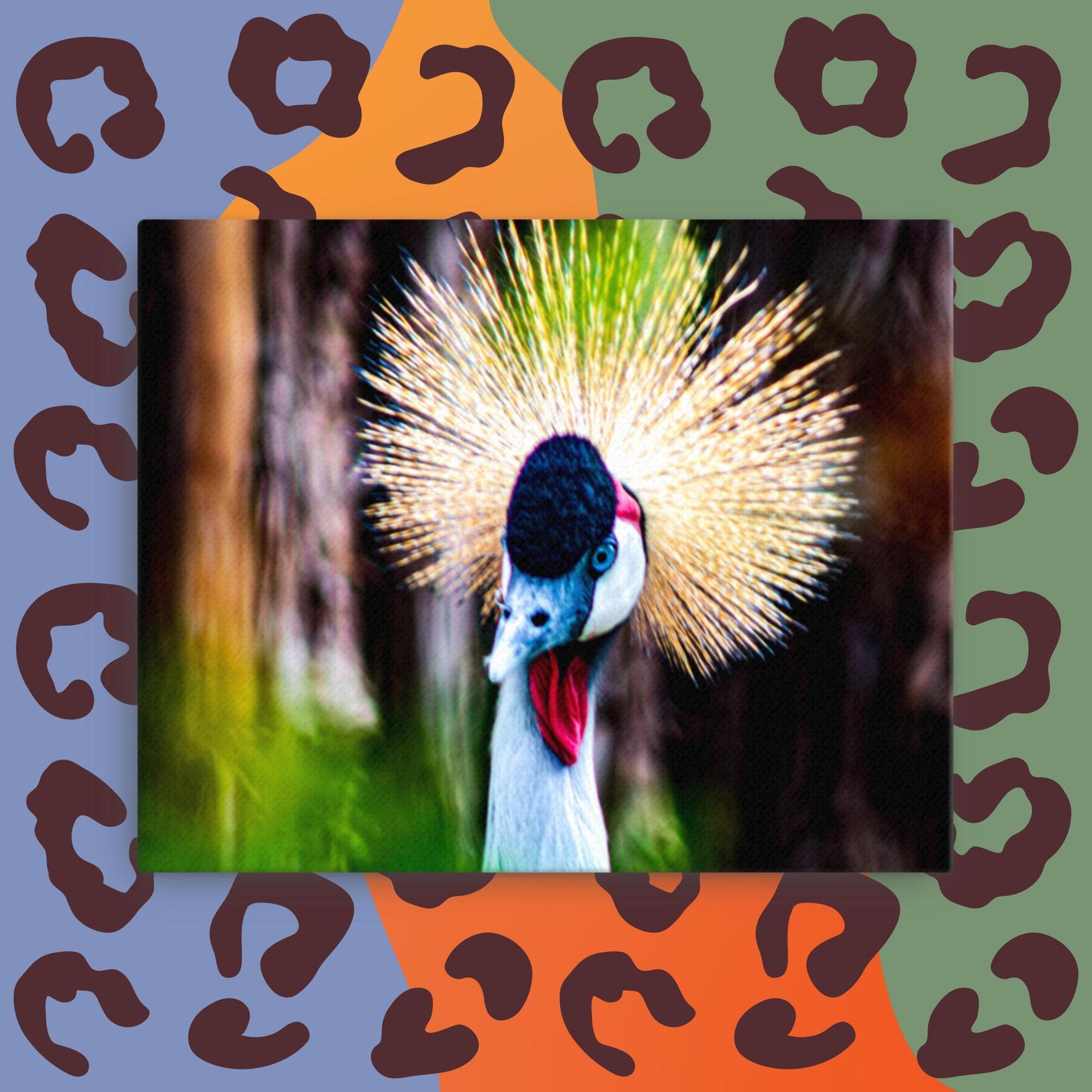 Canvas Black Crowned crane