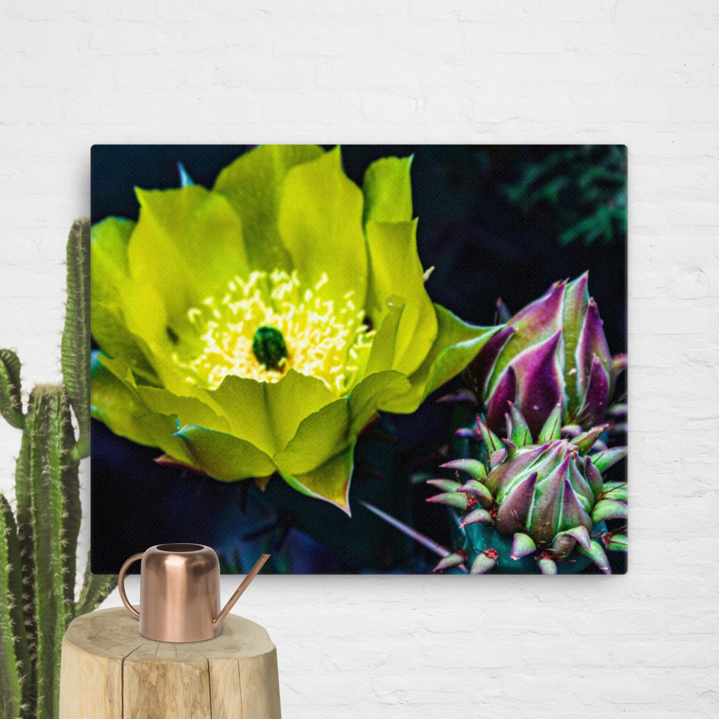 Canvas cactus flower