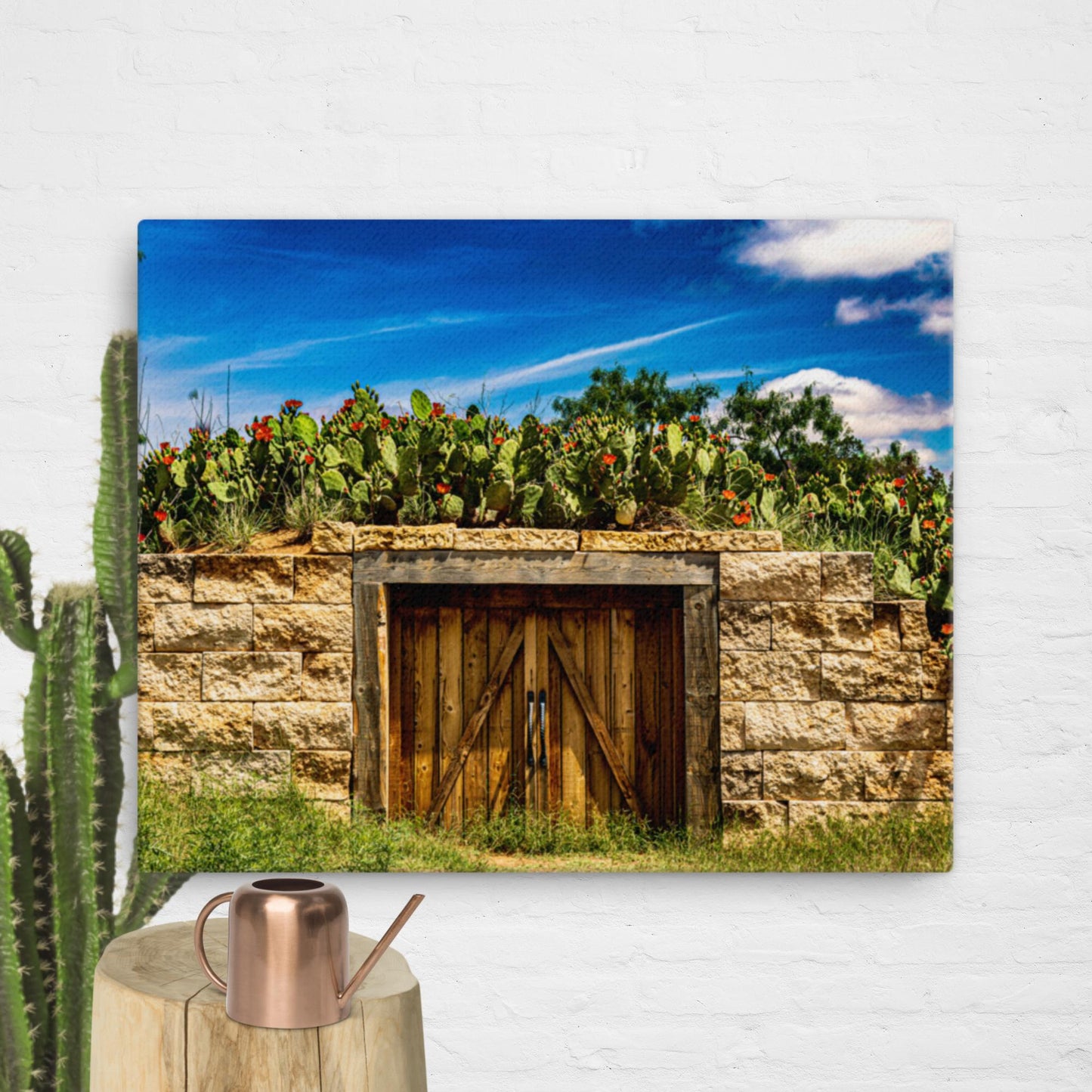 Canvas cactus shed