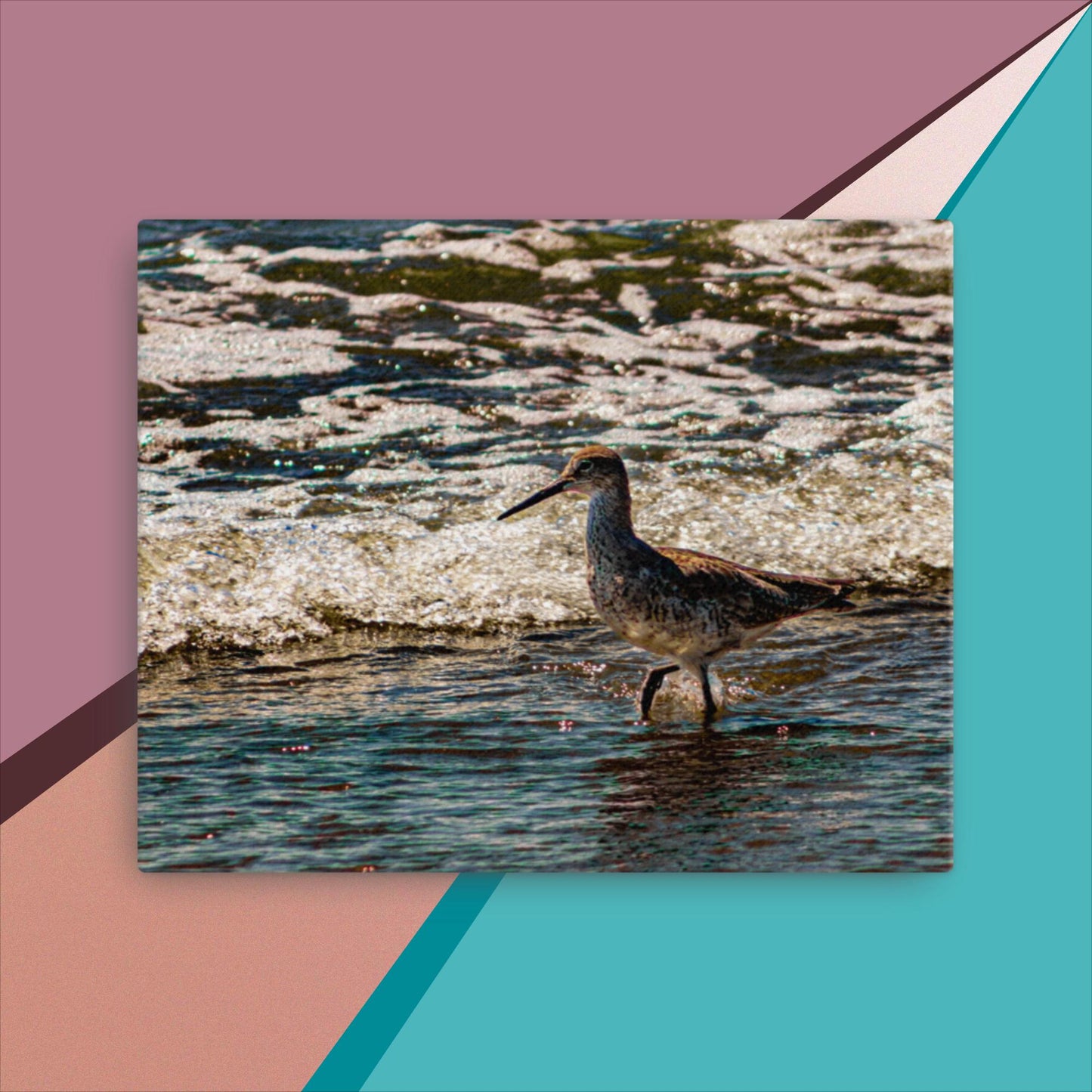 Canvas Beach Birds