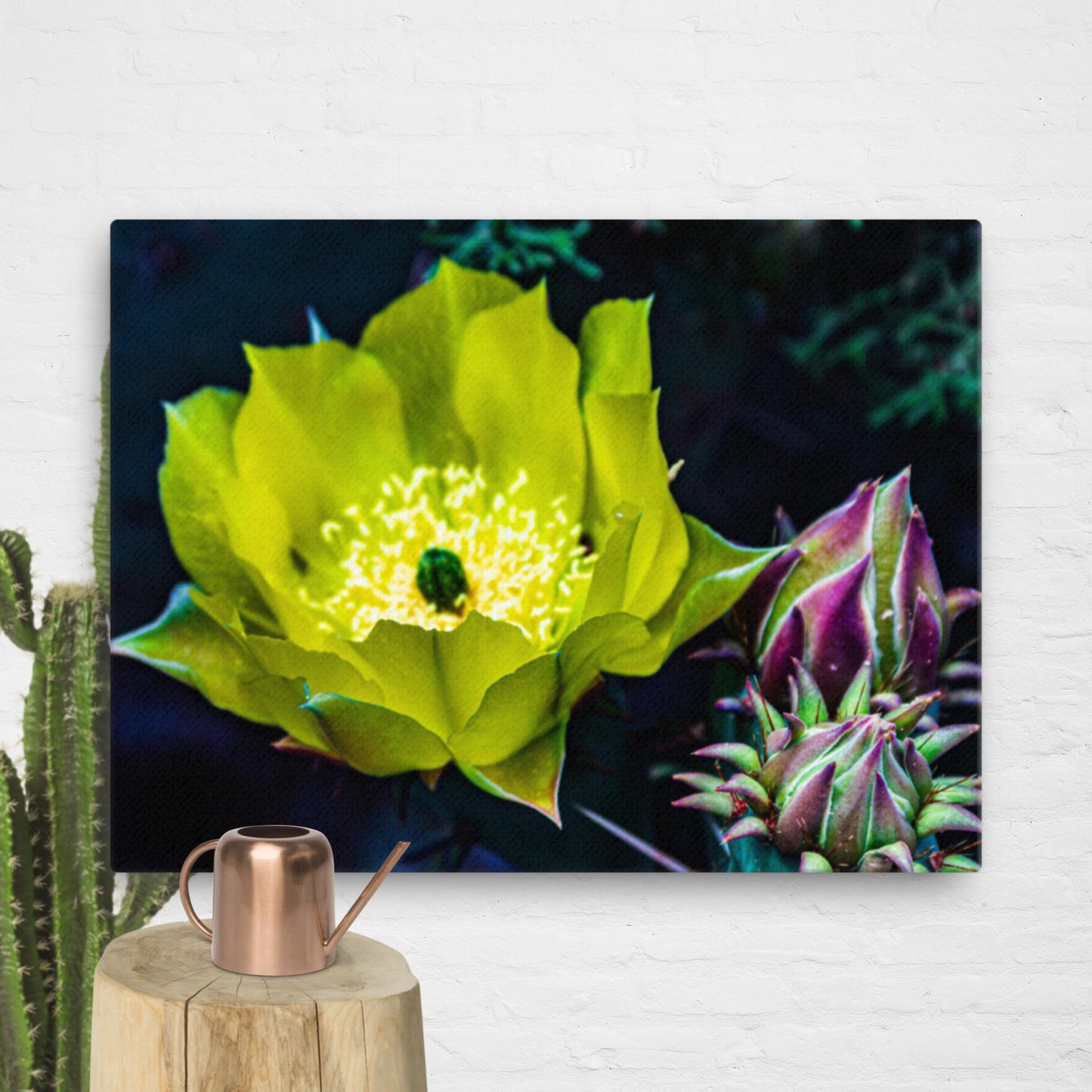 Canvas cactus flower