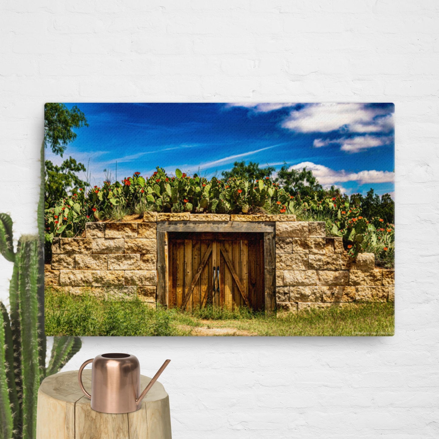 Canvas cactus shed