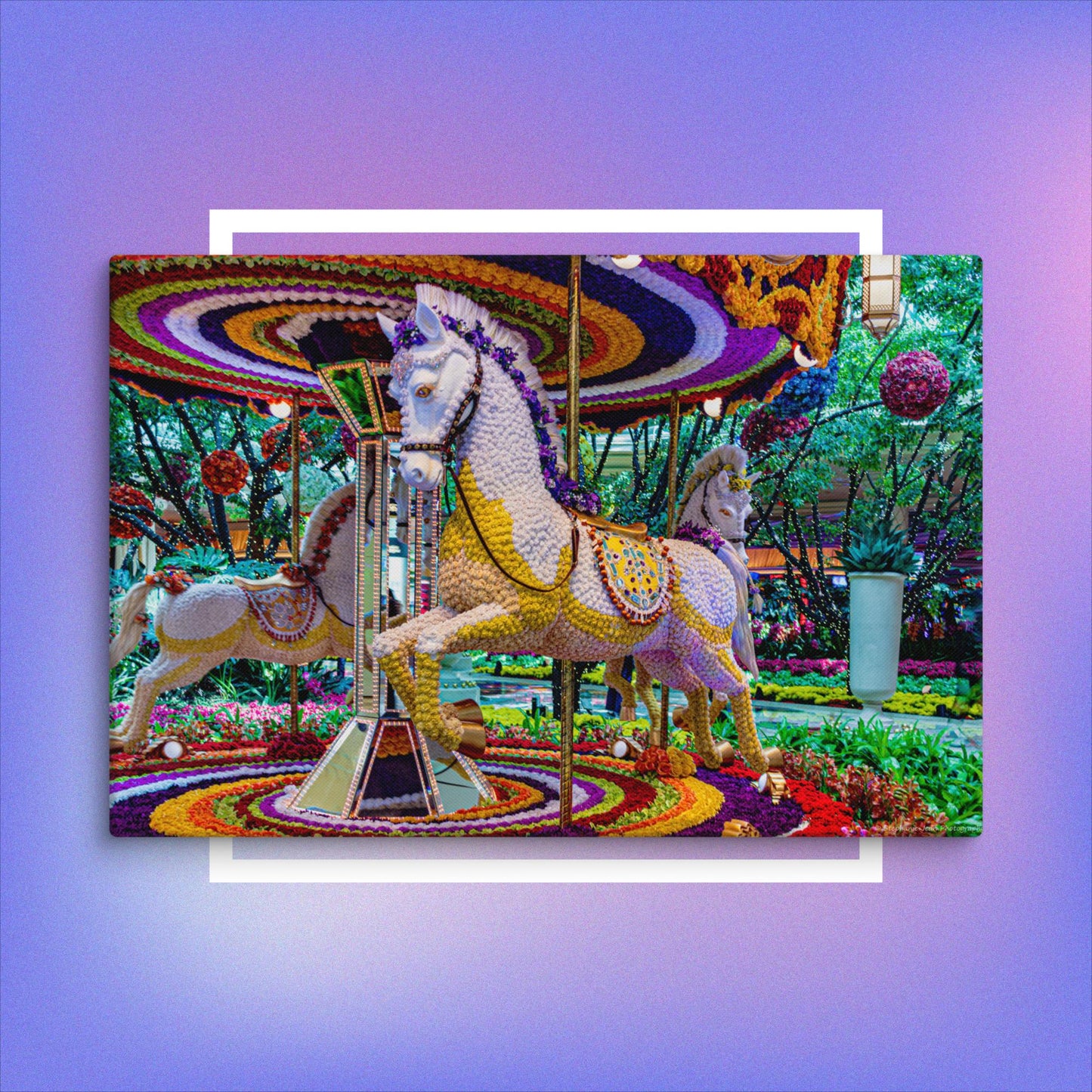 Canvas Flower carousel horse